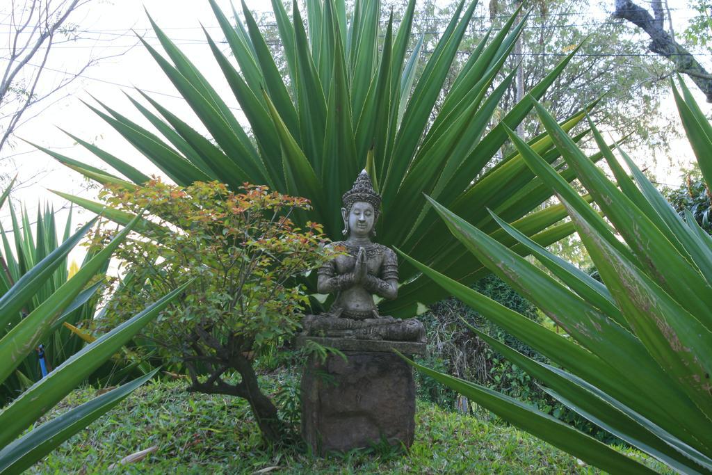 Khao Yai Garden Lodge Пакчонг Экстерьер фото